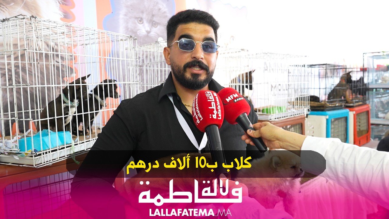 كلاب نادرة بـ10 آلاف درهم تُعرض لأول مرة في المعرض الدولي للفلاحة بمكناس